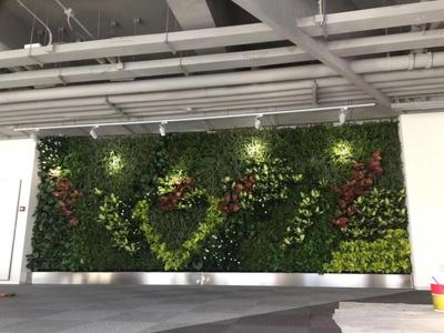 北京绿植公司.jpg 北京绿植公司.jpg