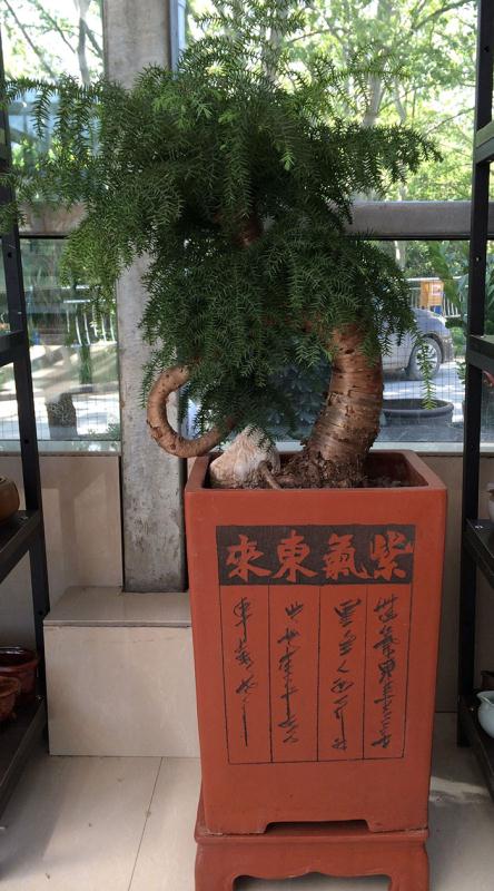 微信图片_20190318224317.jpg